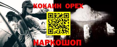 гидропоника Гатчина